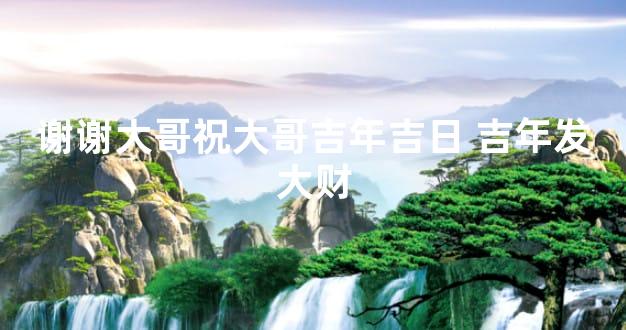 谢谢大哥祝大哥吉年吉日 吉年发大财